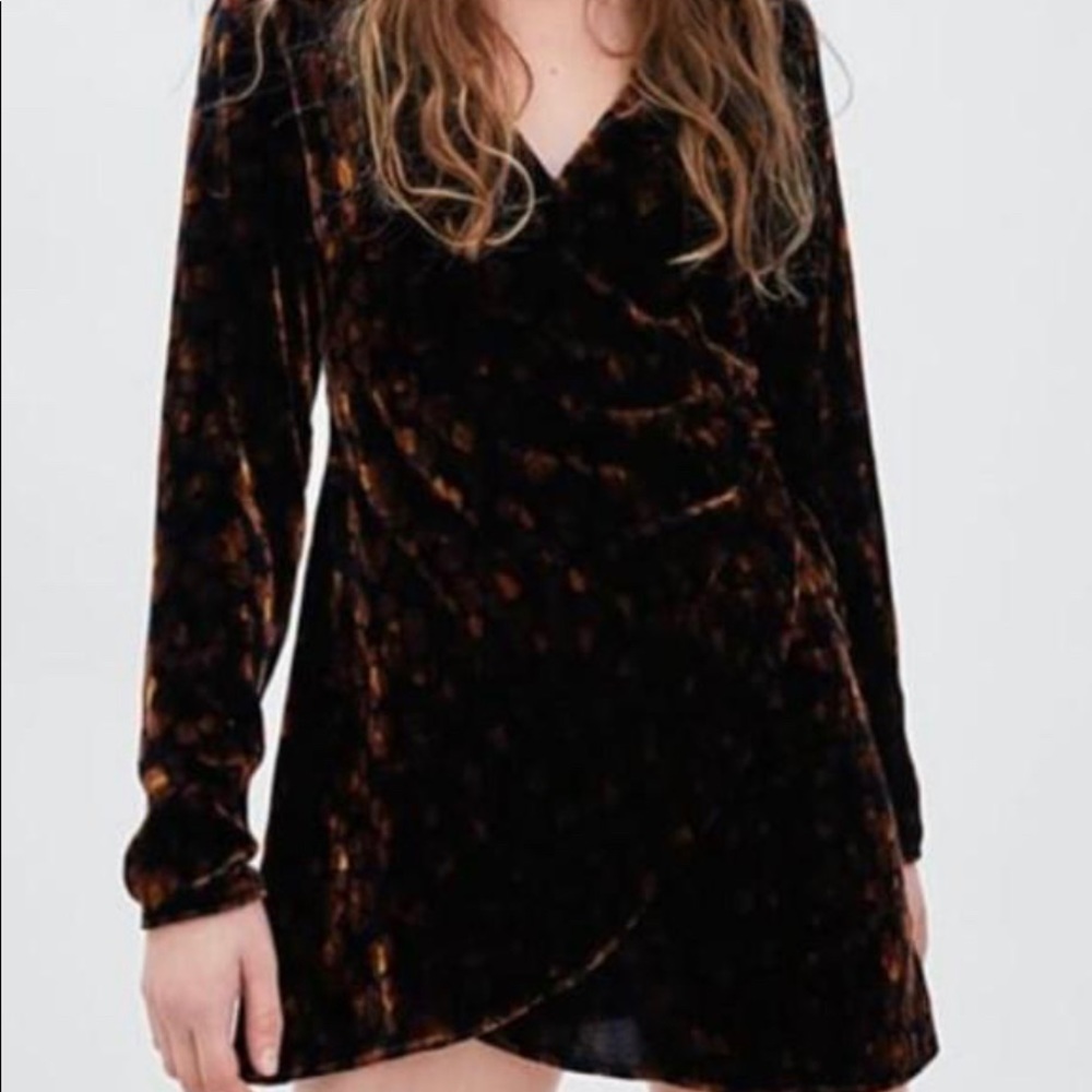 Zara Animal Print velvet dress